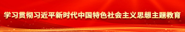 男男曹碧视频学习贯彻习近平新时代中国特色社会主义思想主题教育